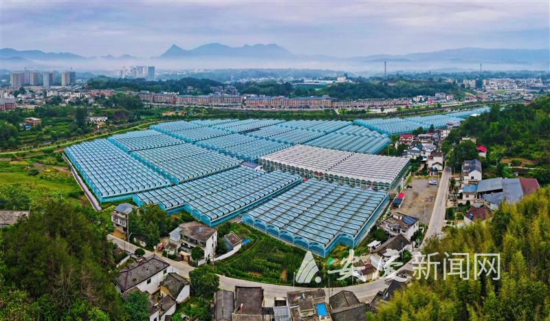 1042408597488996.jpg 14 拷贝.jpg