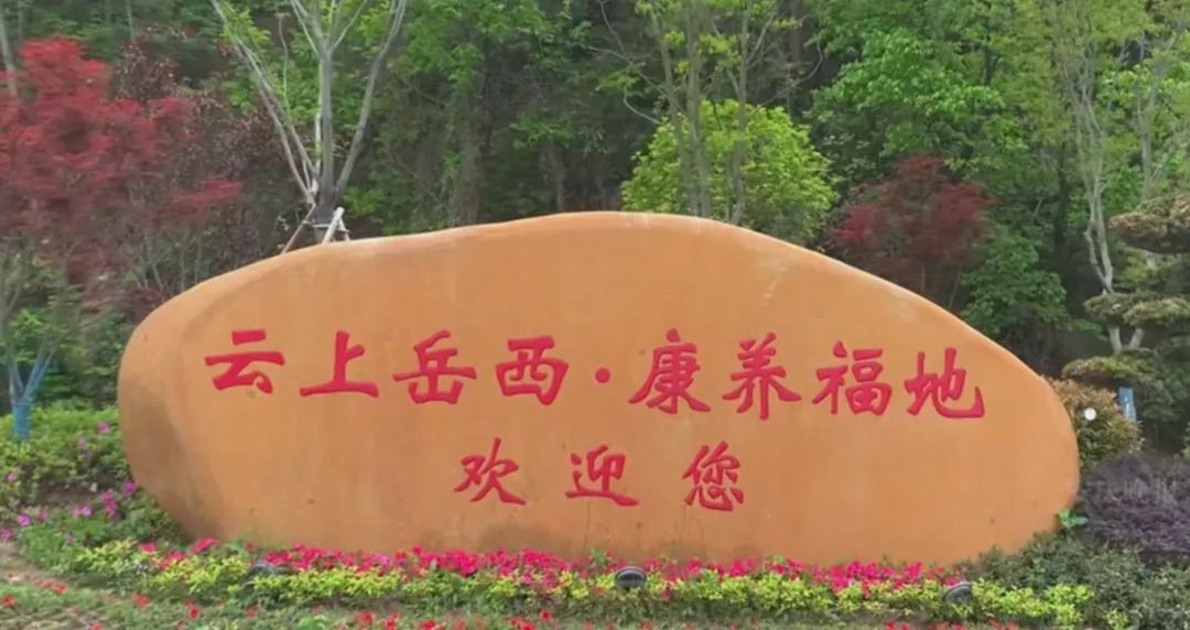 微信截图_20250624101638.png