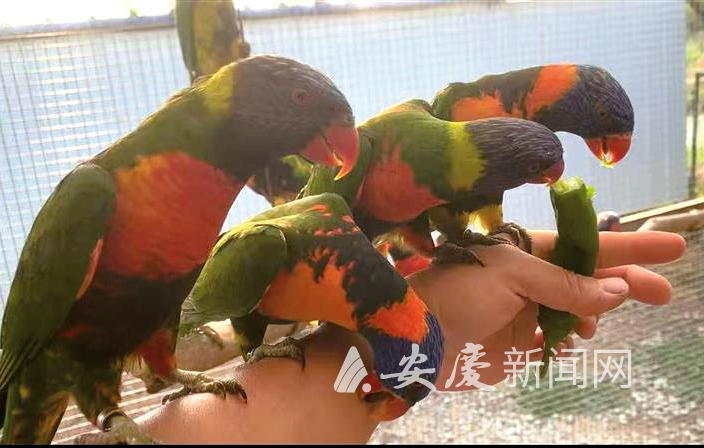 14 拷贝.jpg