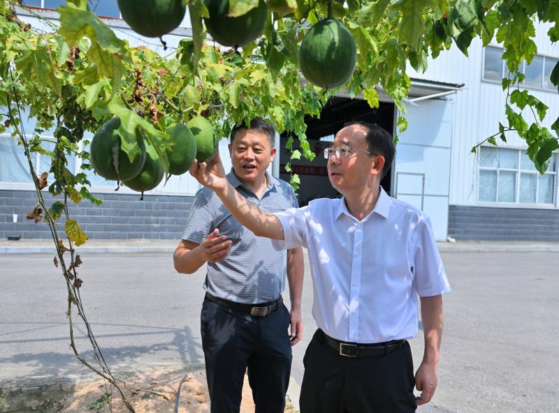 微信图片_2025-08-28_231757_726.jpg