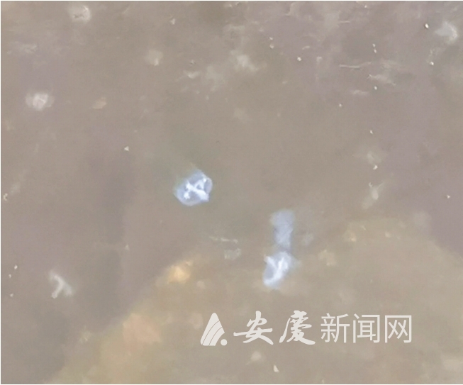 微信截图_20250515112745.png