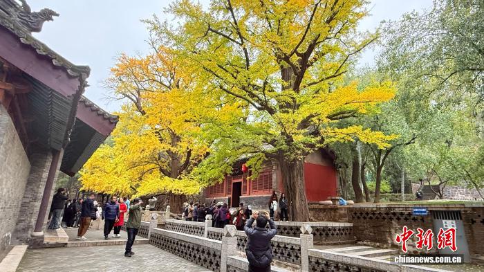 0840052243317864.jpg 2.jpg