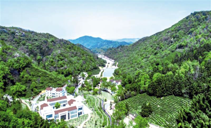 1013272780814362.jpg 14.jpg