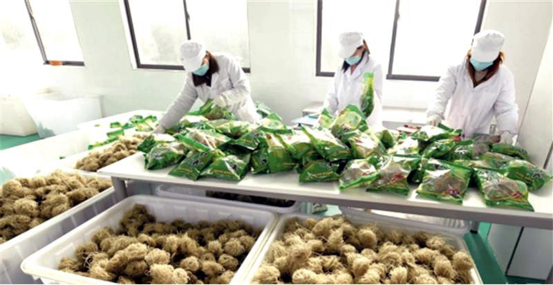 1014137335685483.jpg 14.jpg