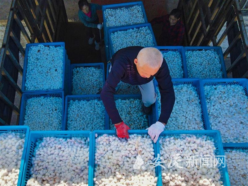 0943097456581002.jpg 14.jpg