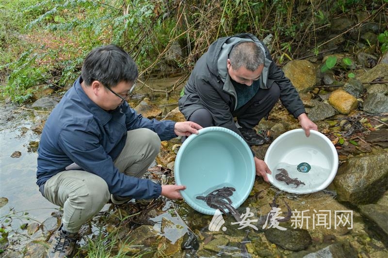 0948042248798898.jpg l_CB20251031150120568040.jpg.jpg