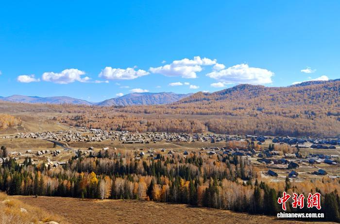 0841441378757568.jpg 1.jpg