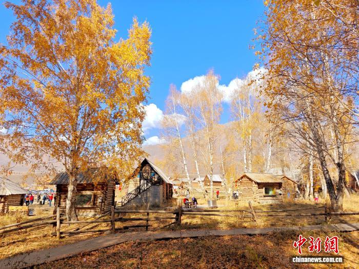 0841553066442996.jpg 2.jpg