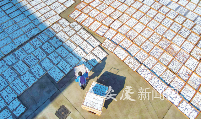 1153591797356387.png 583158c8-82a9-4ff8-bc97-a301415857a5.png