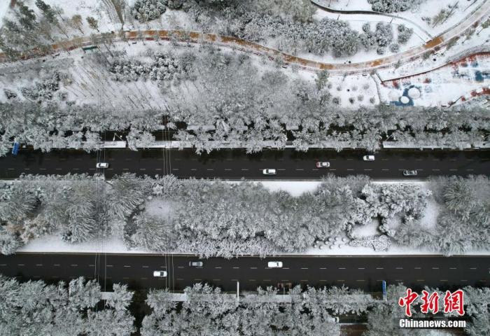 1456066011276753.jpg 5.jpg