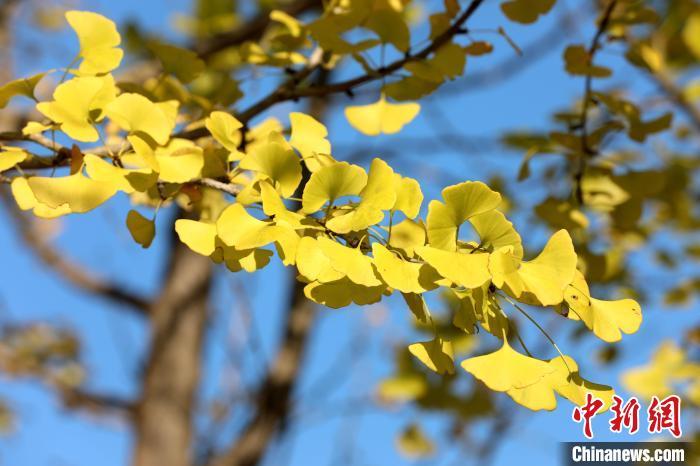 1455526210379010.jpg 4.jpg