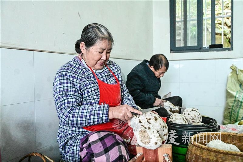 0954501778058677.jpg 14.jpg