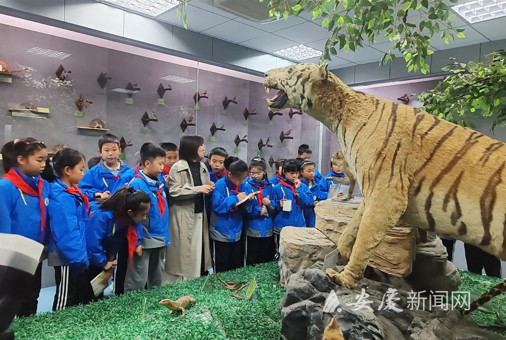 0830011372129601.jpg 111111.jpg