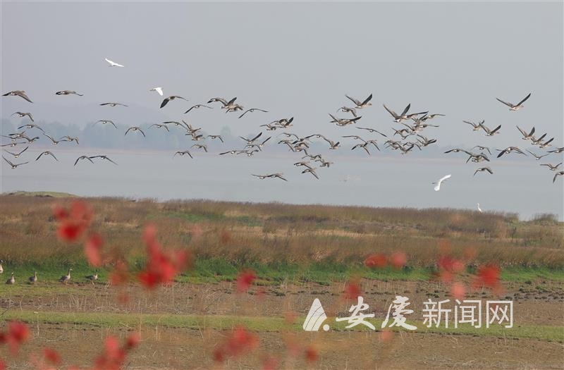 0944379324900718.jpg 14.jpg