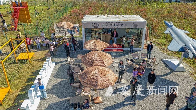 0955003210874410.jpg 14.jpg