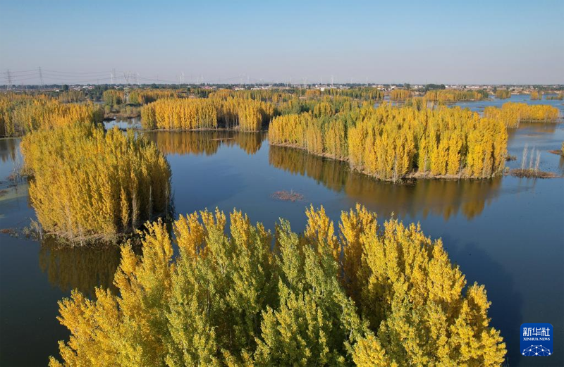 1619018106764625.png 图片1.png