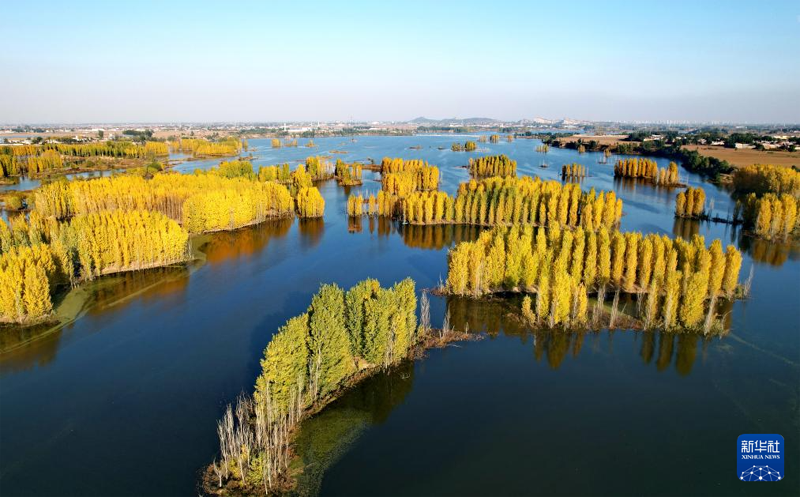 1622437887069393.png 图片1.png