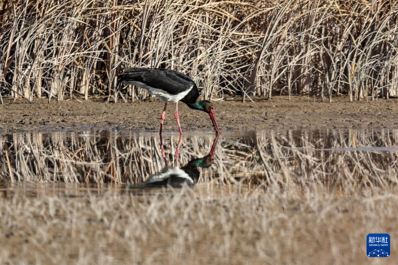 1632564730062183.png 图片1.png