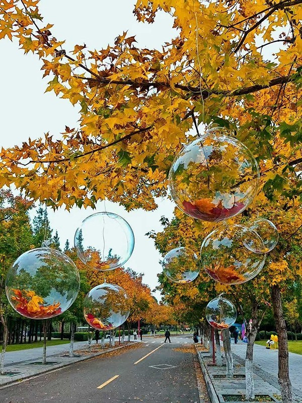 1659386557767327.jpg 14.jpg