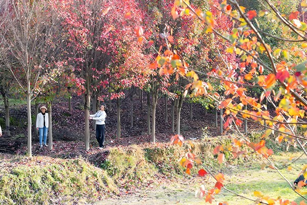 1700336524182307.jpg 14.jpg