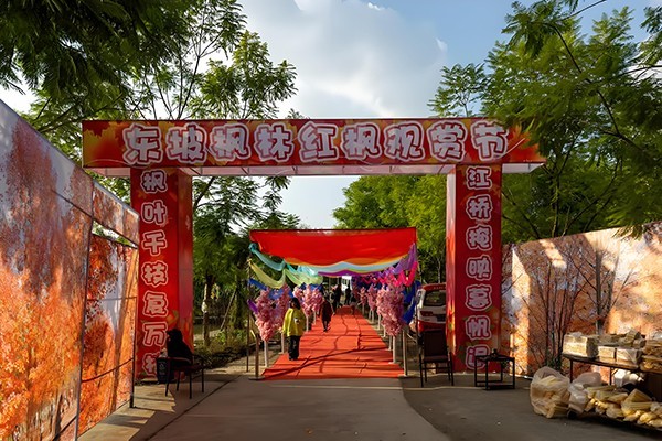 1701362745778892.jpg 14.jpg