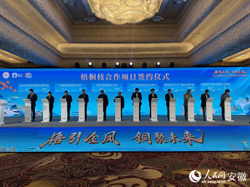 0847246757127634.jpg 3.jpg