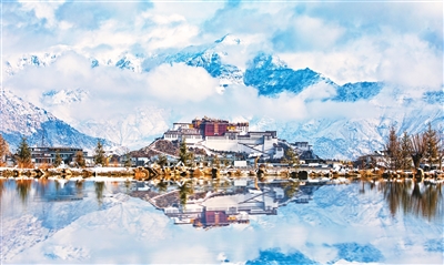 0857503512358321.jpg 1.jpg