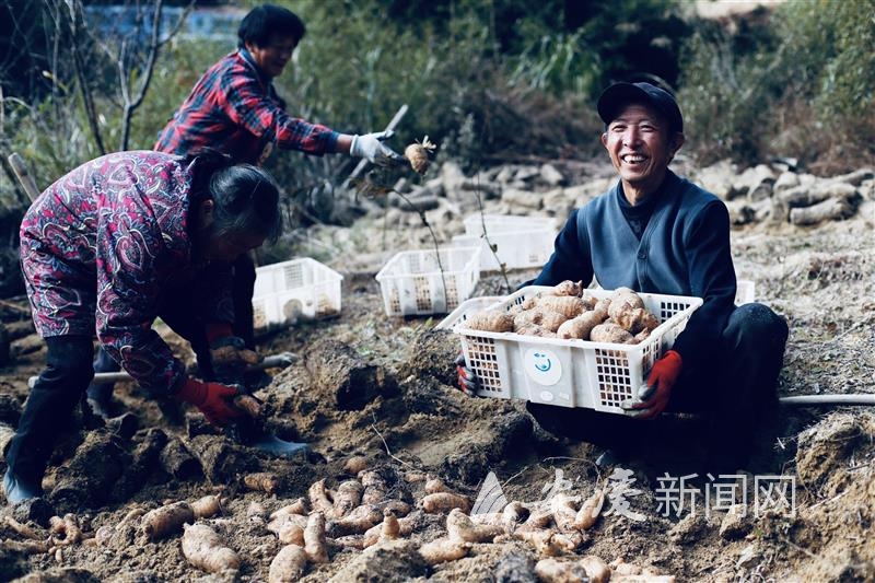 1010506966392641.jpg 11.jpg