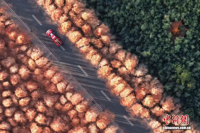 1446001925821193.jpg 1.jpg