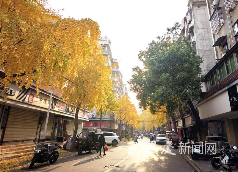 1412131505456428.jpg 14.jpg