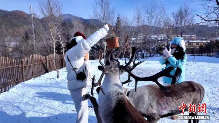 0851469425109351.jpg 1.jpg