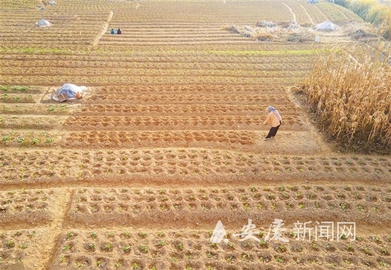 1116576471056194.jpg 14.jpg