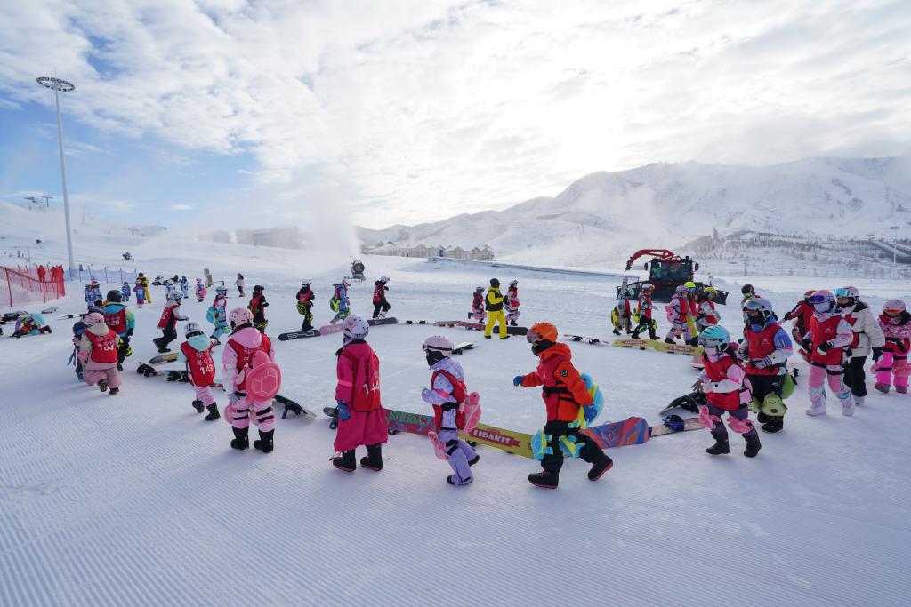 0842371887348544.jpg 2.jpg