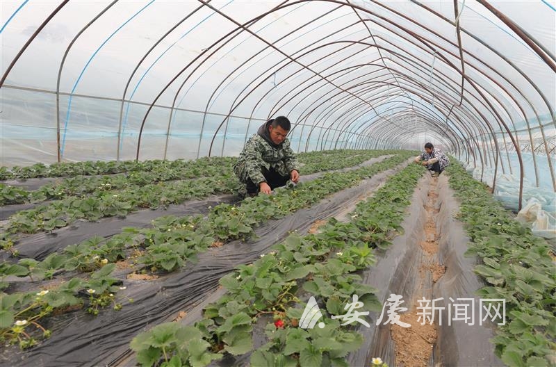 1115376983805593.jpg 14.jpg