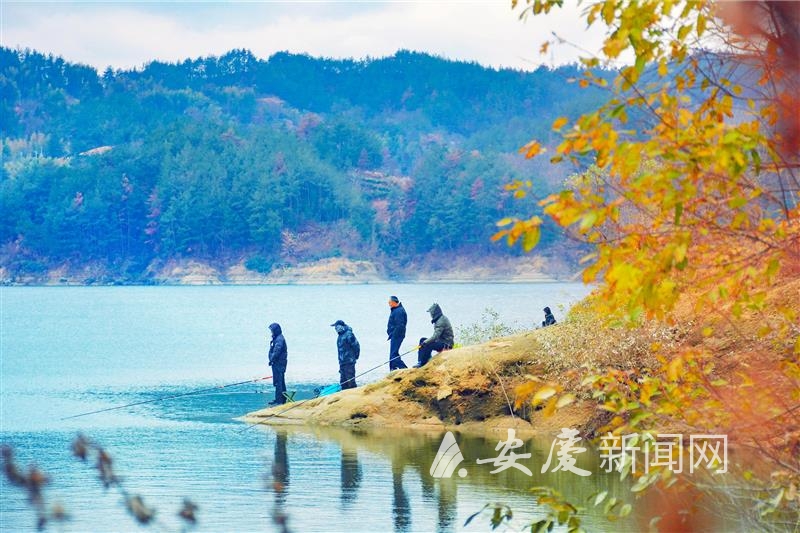 0948597122224137.jpg 14.jpg