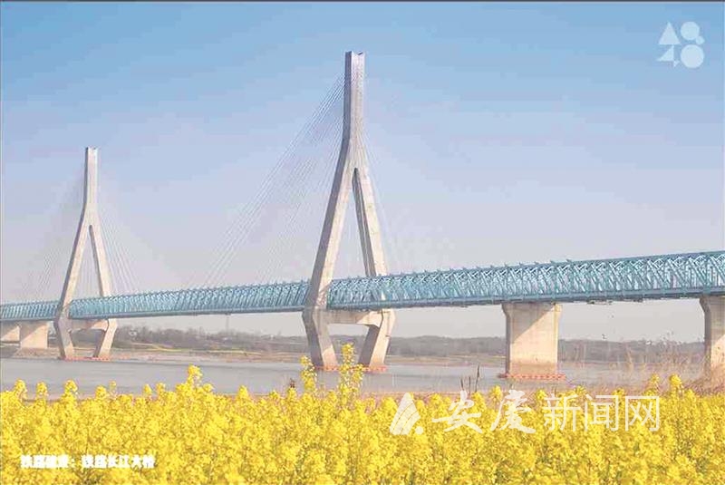 0941457790874821.jpg 14.jpg