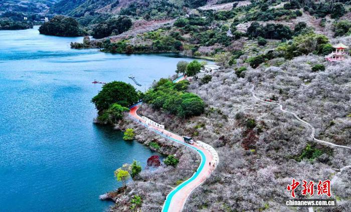 1416104652889784.jpeg 1.jpeg