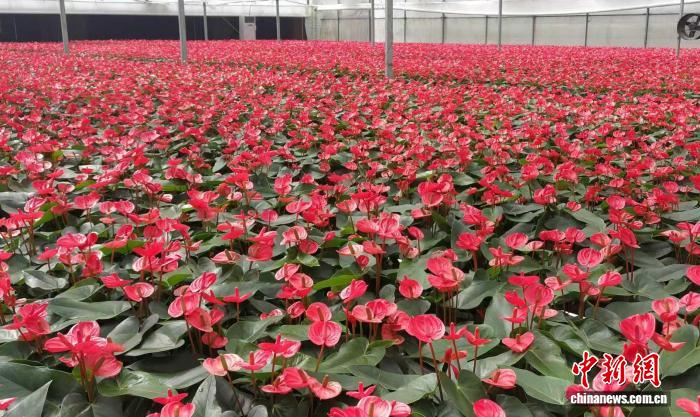 1416419173517335.jpeg 3.jpeg