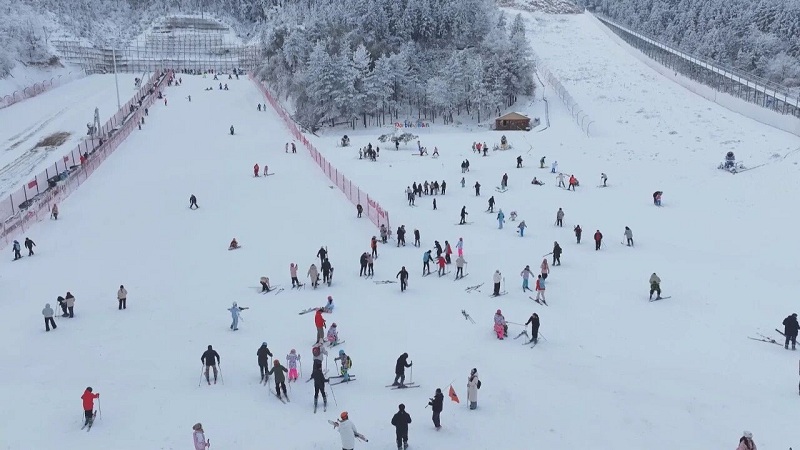 1505396604270312.jpg 14.jpg