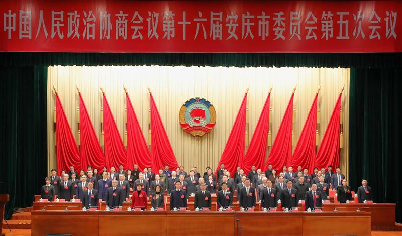 政协6.jpg