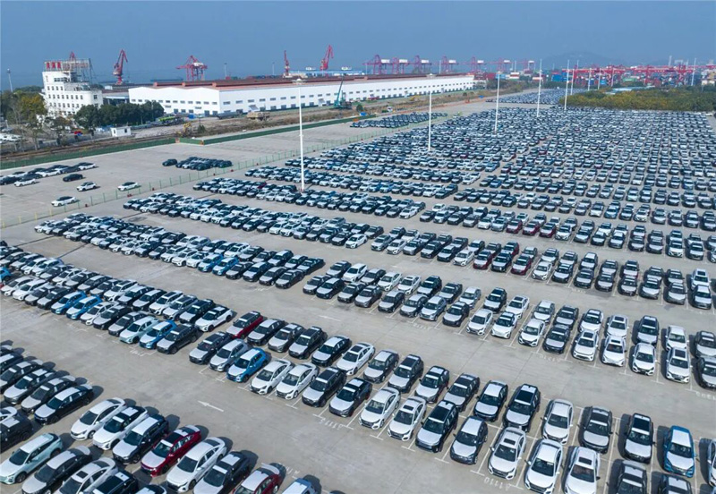 1105062499667099.jpg 14.jpg