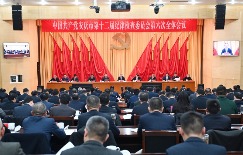 2043021057508714.jpg 微信图片_20260129092049_2768_285_副本.jpg