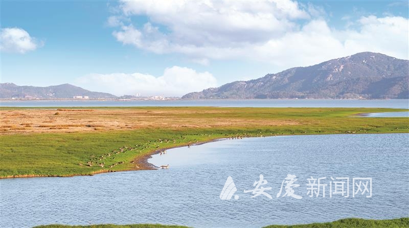 0957596923156572.jpg l_CB20260203145315018056_02.tif.jpg