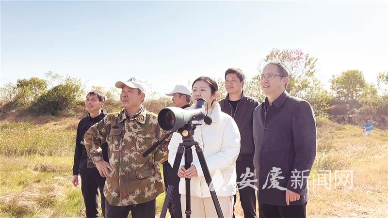 1000123448175020.jpg l_CB20260203145955143013_02.tif.jpg