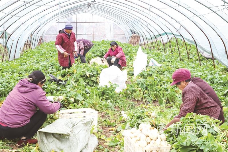 1009015910471418.jpg l_CB20260202203447982051_02.tif.jpg