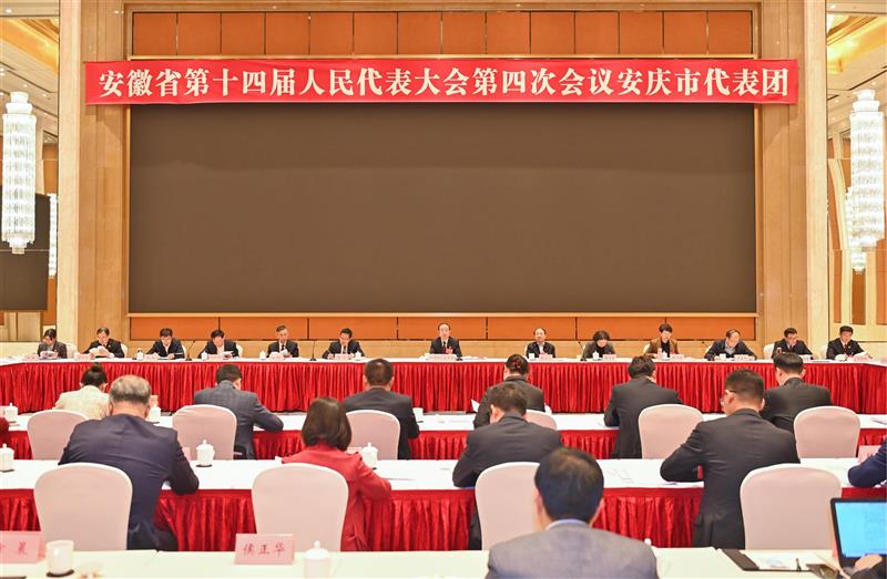 安庆代表团会议2.jpg