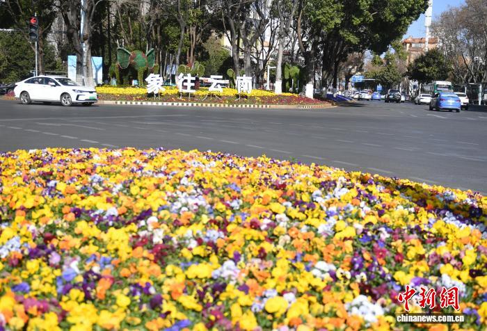 1457216519320510.jpg 5.jpg