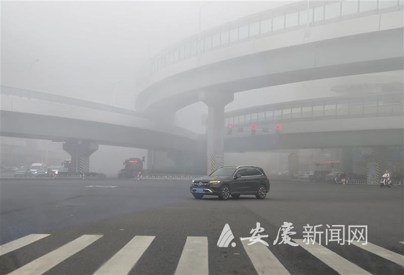 1119044544075872.jpg 14.jpg