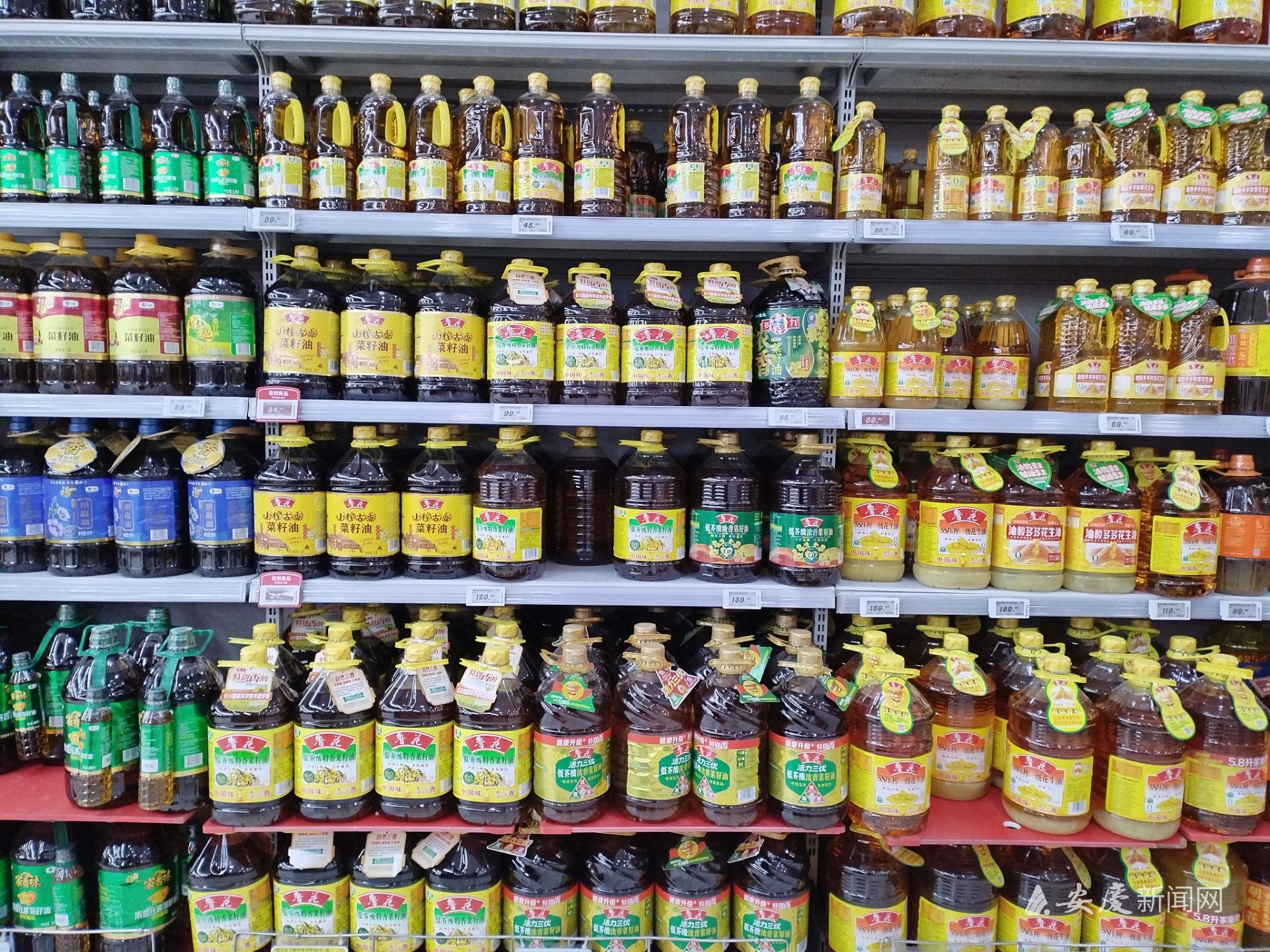 1121296003046153.jpg 微信图片_20260219113436_107_77.jpg