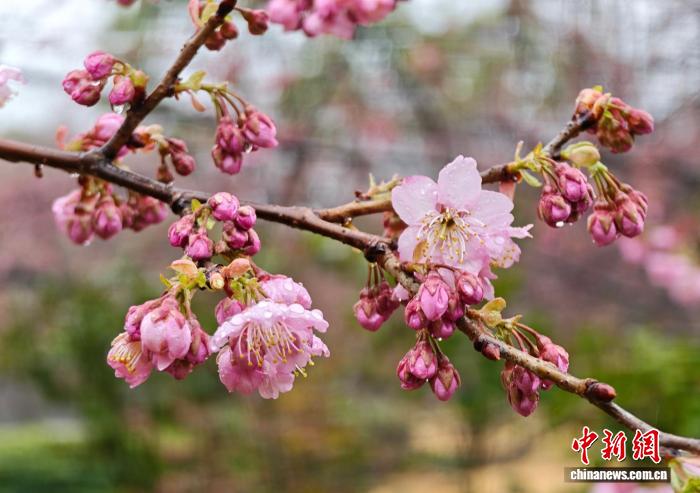 0925256241707551.jpg 2.jpg